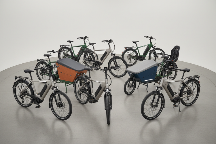 What E-Bike Is Right for Me?
